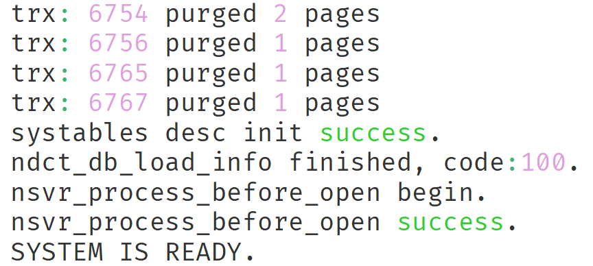 单机实例启动成功